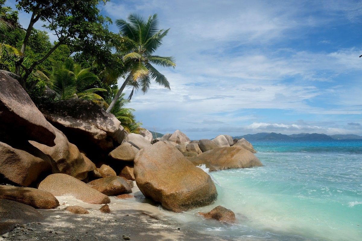 The Seychelles are stunning! Rocky beach with turquoise water, palm trees, and blue sky.