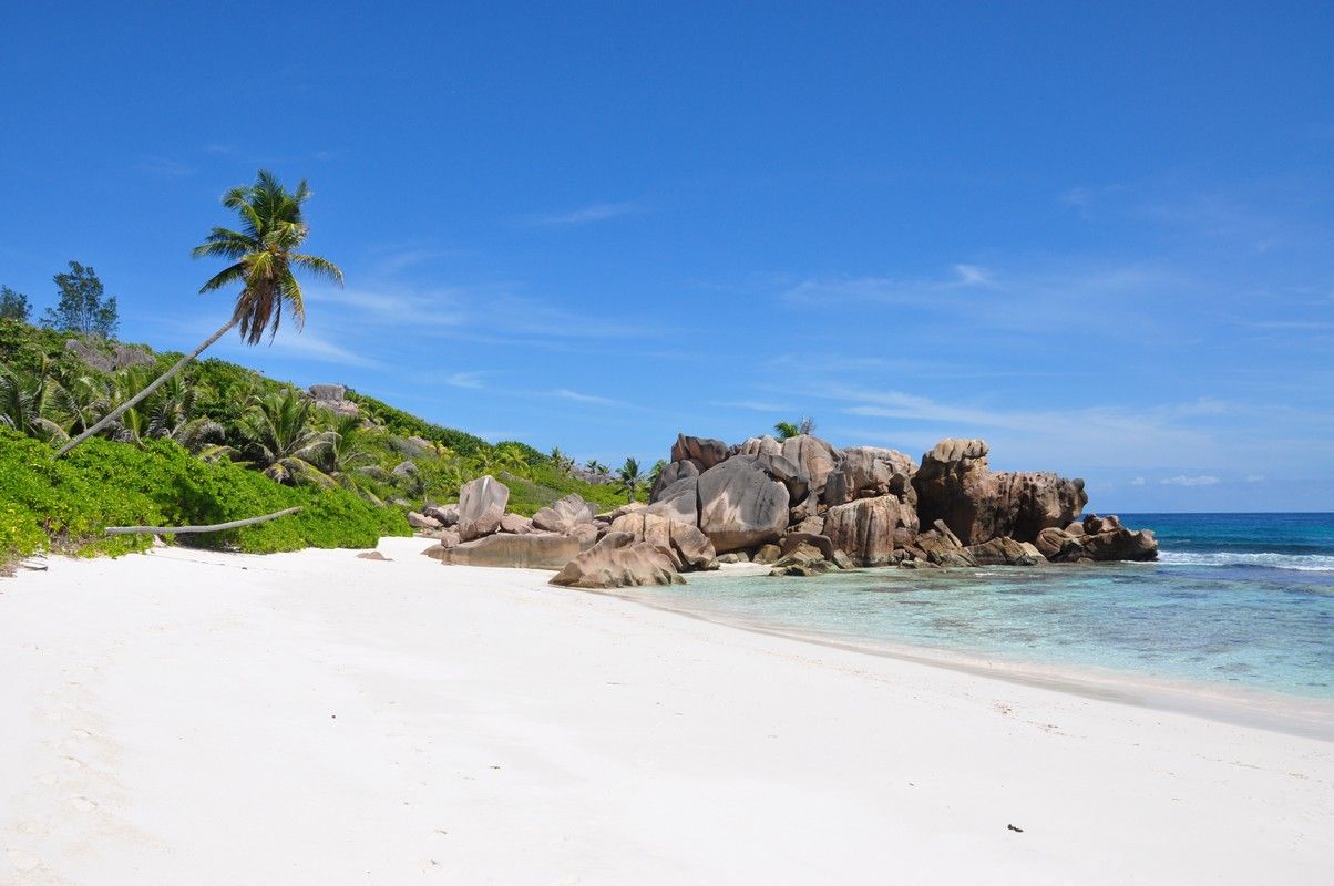 The Seychelles White sand beach with turquoise water, rocks, and palm tree under a blue sky.