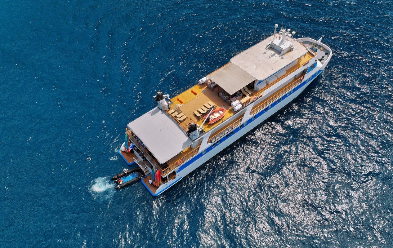 Aerial view of a white and blue cruise ship on blue ocean water.