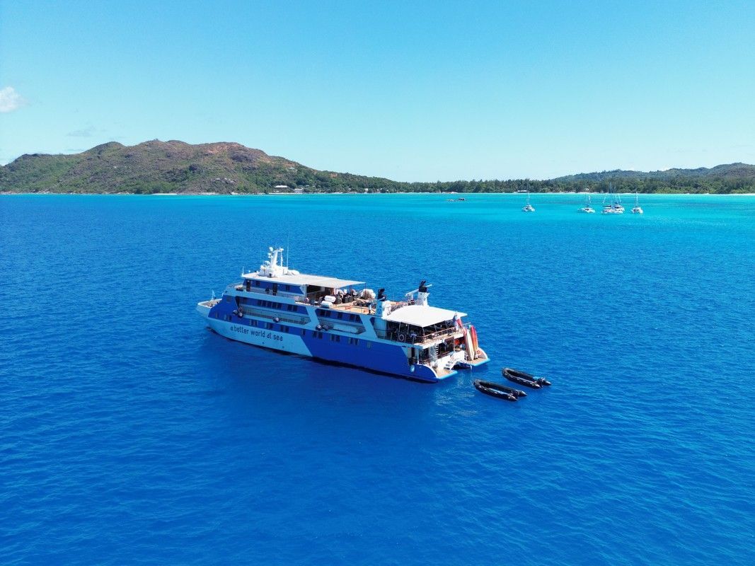 Large blue and white boat in turquoise water; small boats trailing behind. Island in the background.