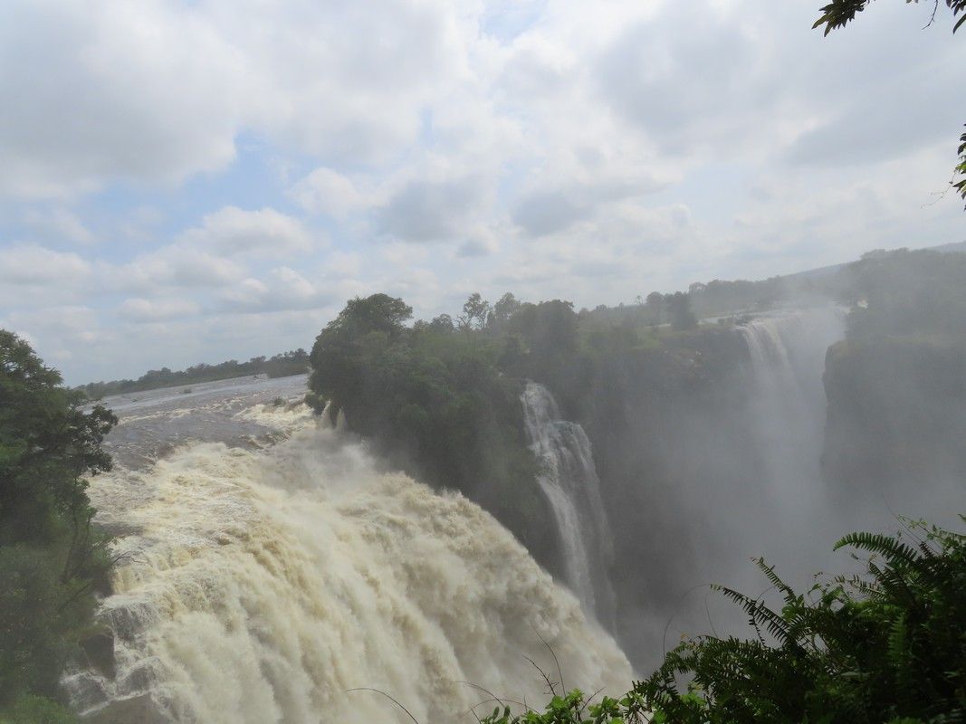 A waterfall is surrounded by trees on a cloudy day.