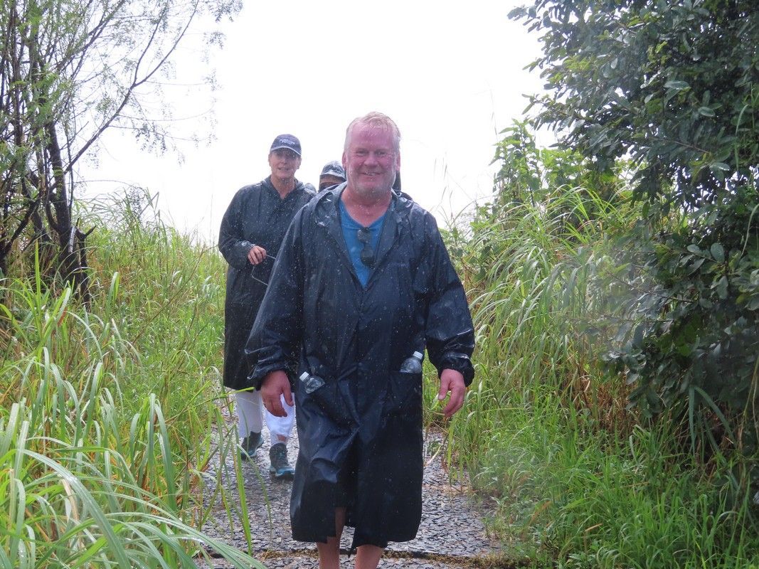 A man in a raincoat is walking down a path in the rain.