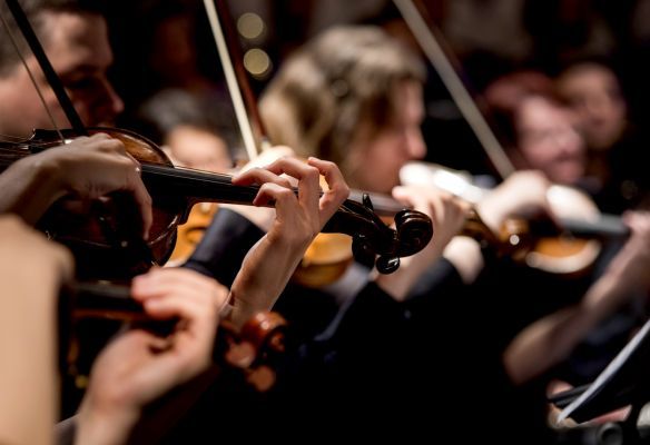 A group of people are playing violins in an orchestra.