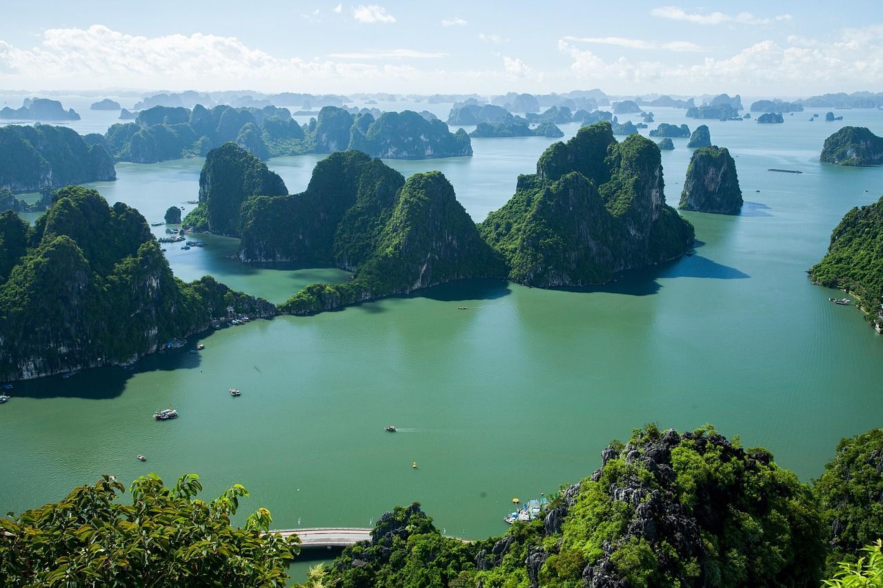 A large body of water surrounded by mountains and trees.