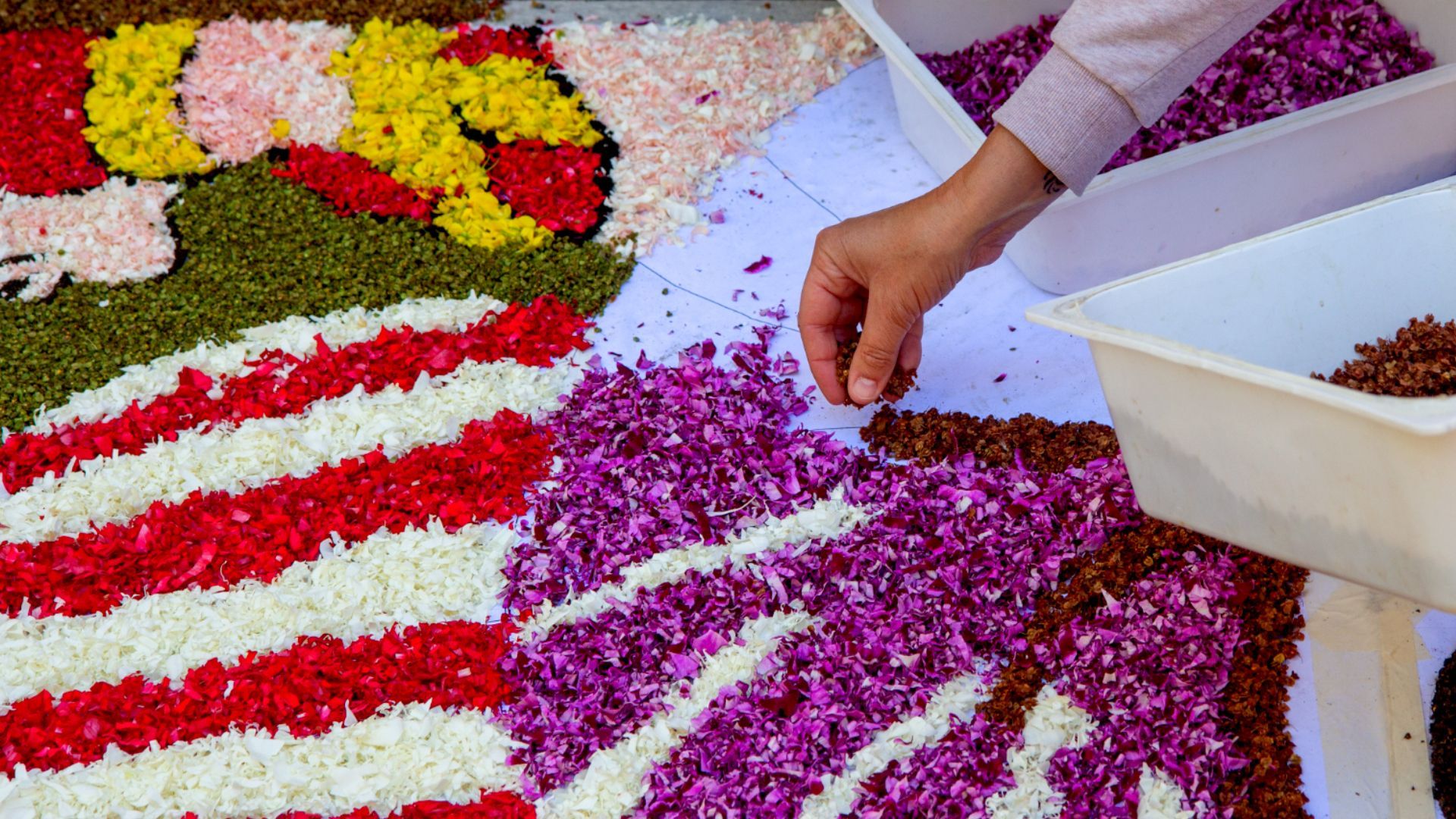 Infiorata , or  festival of flowers in Italy