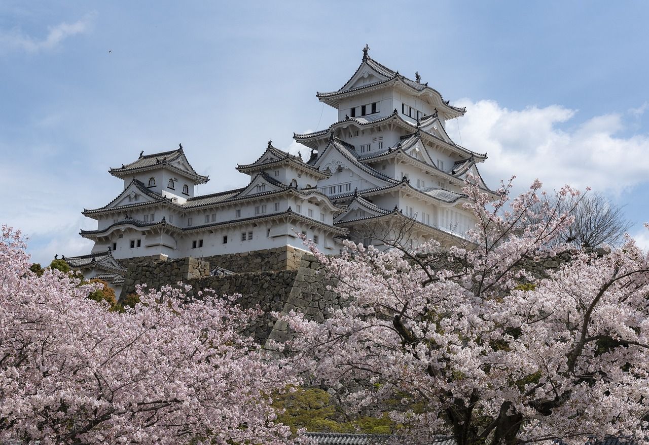 A large white castle is surrounded by cherry blossom trees.