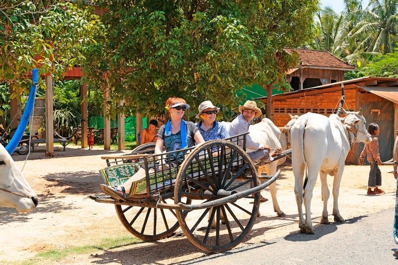 a group of people are riding in a cart pulled by a cow .