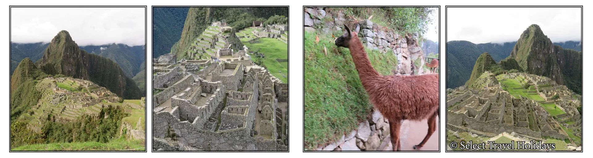 A collage of four pictures of a mountain and a llama alpaca in Peru