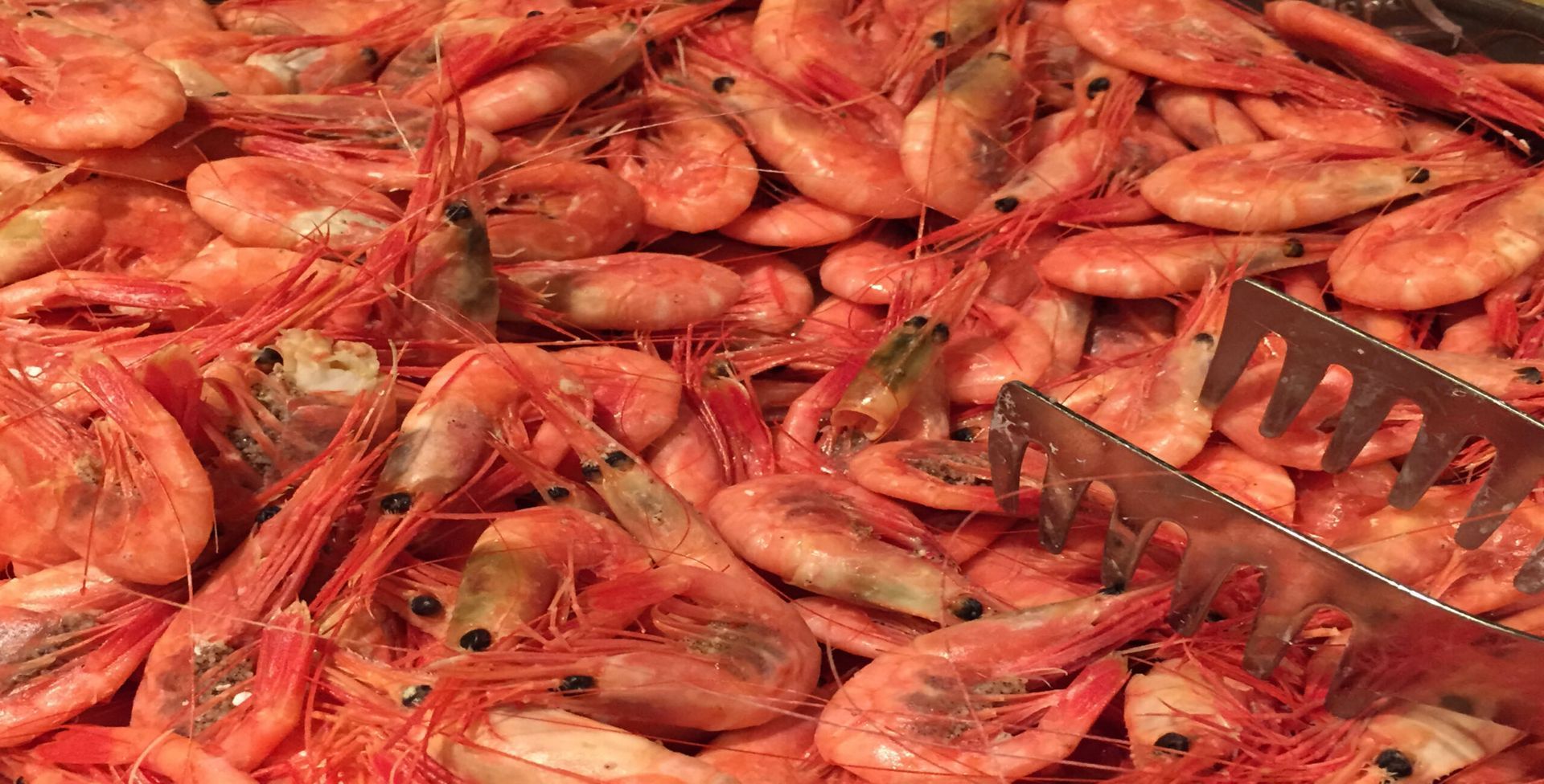 A pile of shrimp with a spatula in the middle.