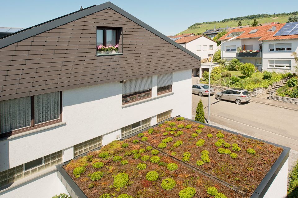 Bild fertiges Gründach
