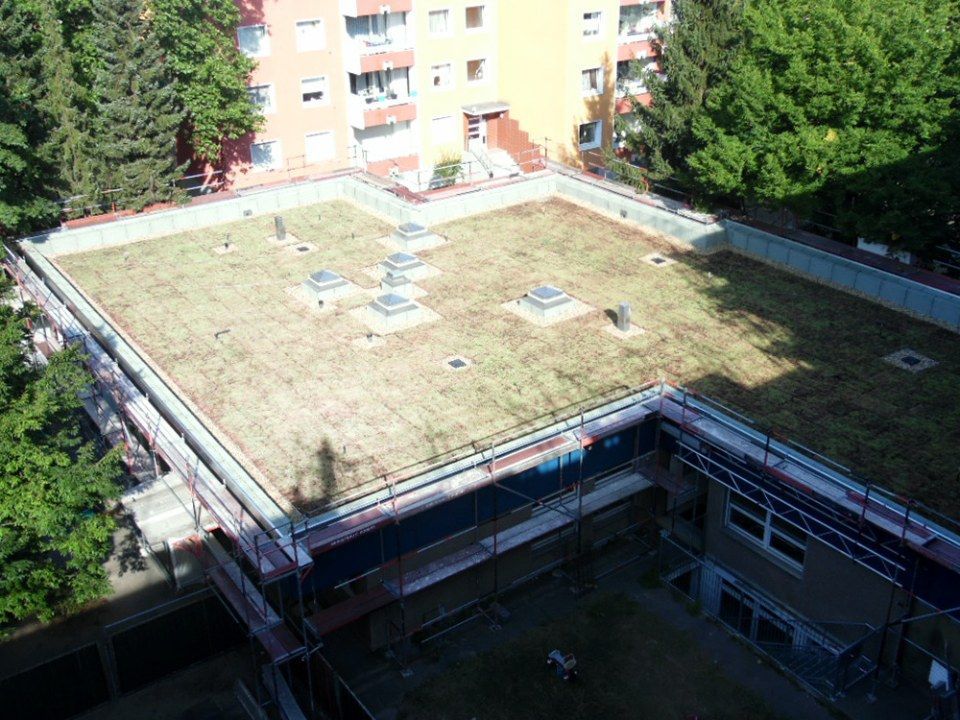 Bild Flachdach
