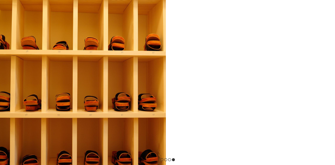 Ein Regal mit vielen Baseballhandschuhen auf einem weißen Hintergrund.