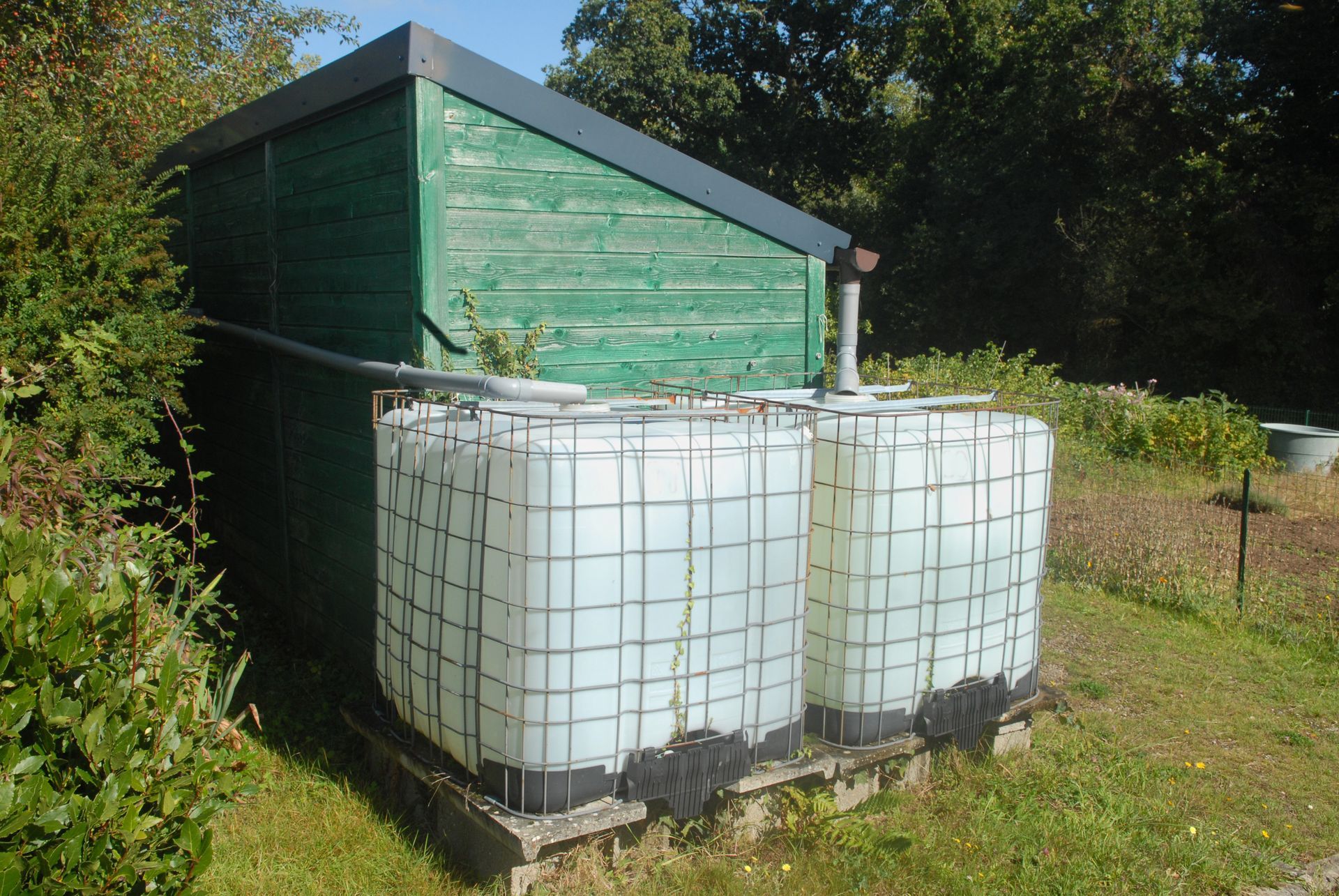 Abri vert avec deux grandes cuves d’eau blanches à l’extérieur, dans une cour herbeuse.