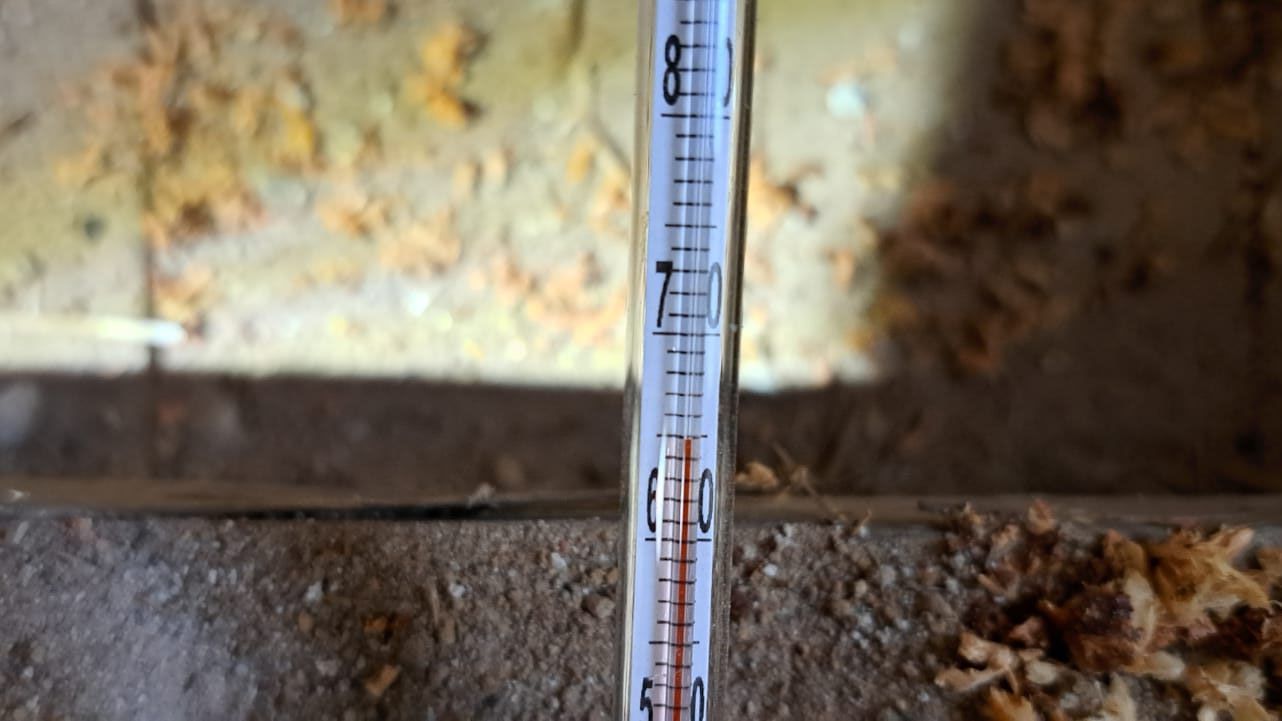 Thermostat zeigt die Temperatur an