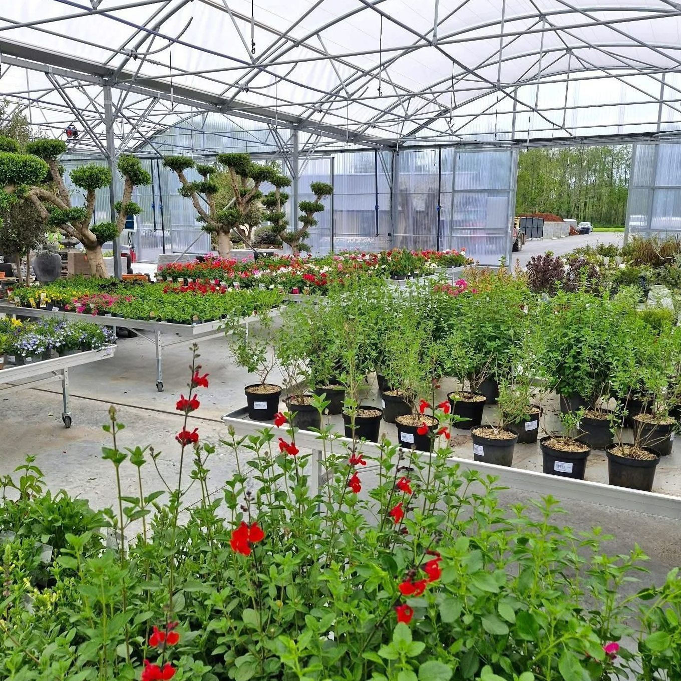 Plusieurs pots de plantes et de fleurs