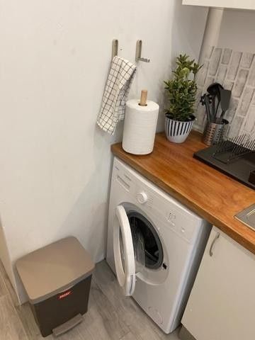 Zona de lavandería con lavadora blanca bajo una encimera de madera, rollo de papel de cocina, planta y cubo de basura gris.