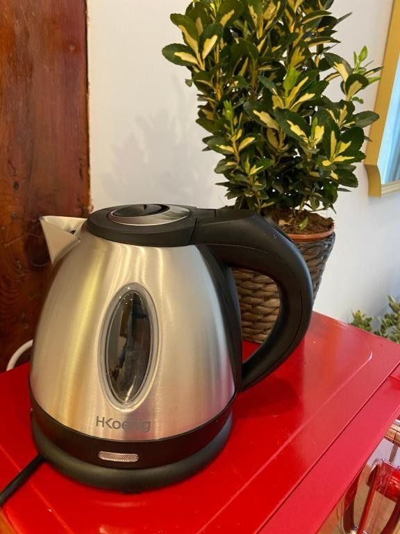 Hervidor eléctrico de acero inoxidable sobre una mesa roja junto a una planta en maceta y una puerta de madera.
