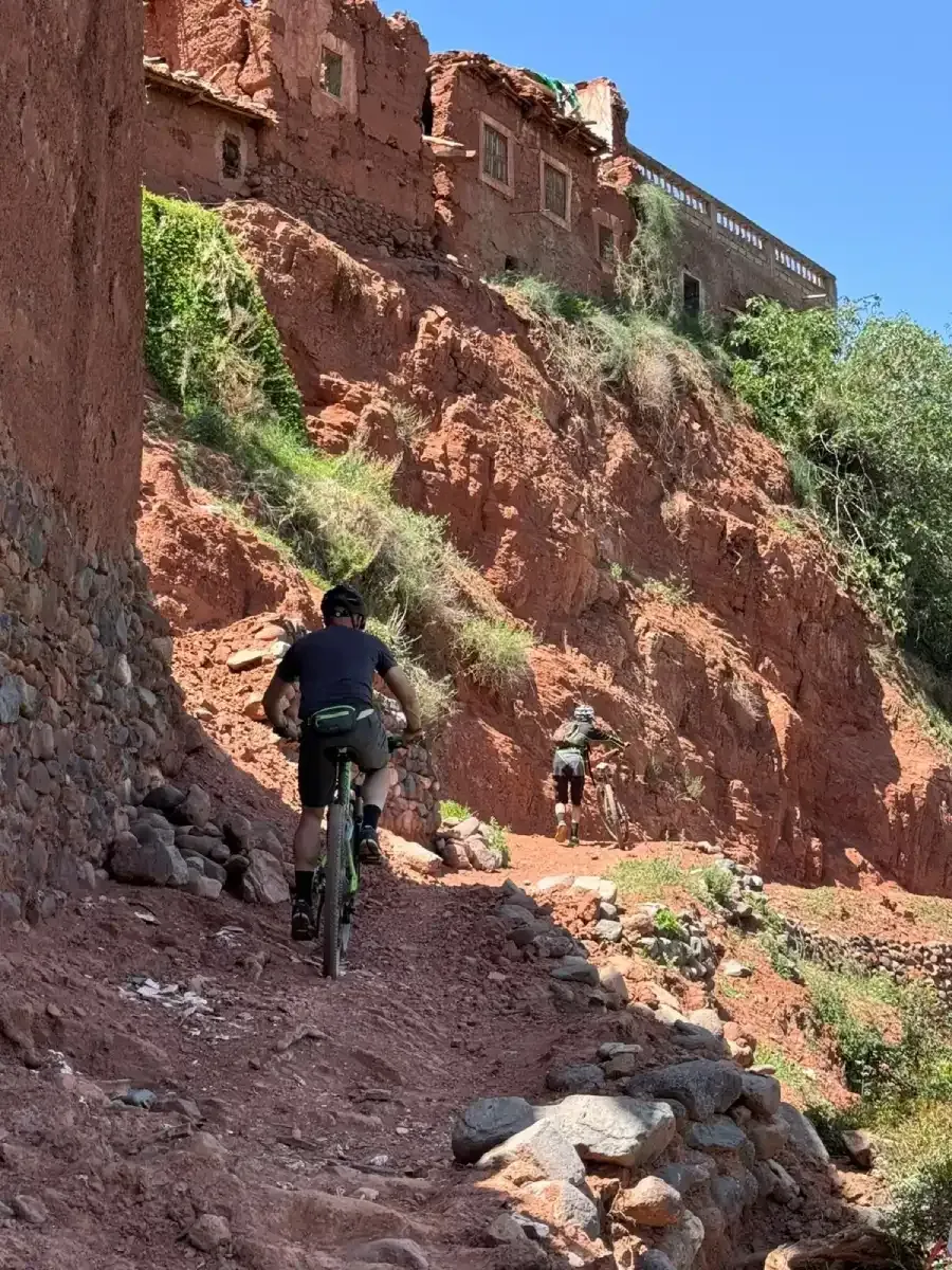 Vista general de la antigua ciudad de Fez, Marruecos, con densos edificios de piedra y vegetación.