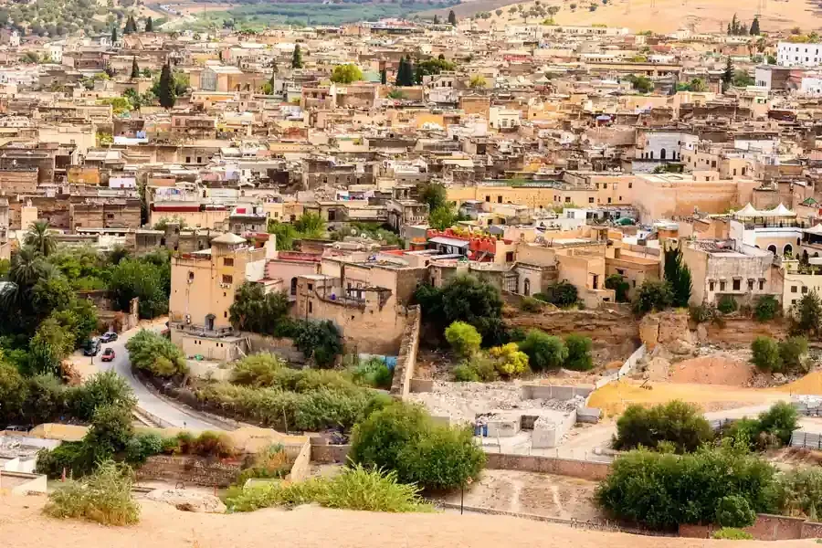 Vista general de la antigua ciudad de Fez, Marruecos, con densos edificios de piedra y vegetación.