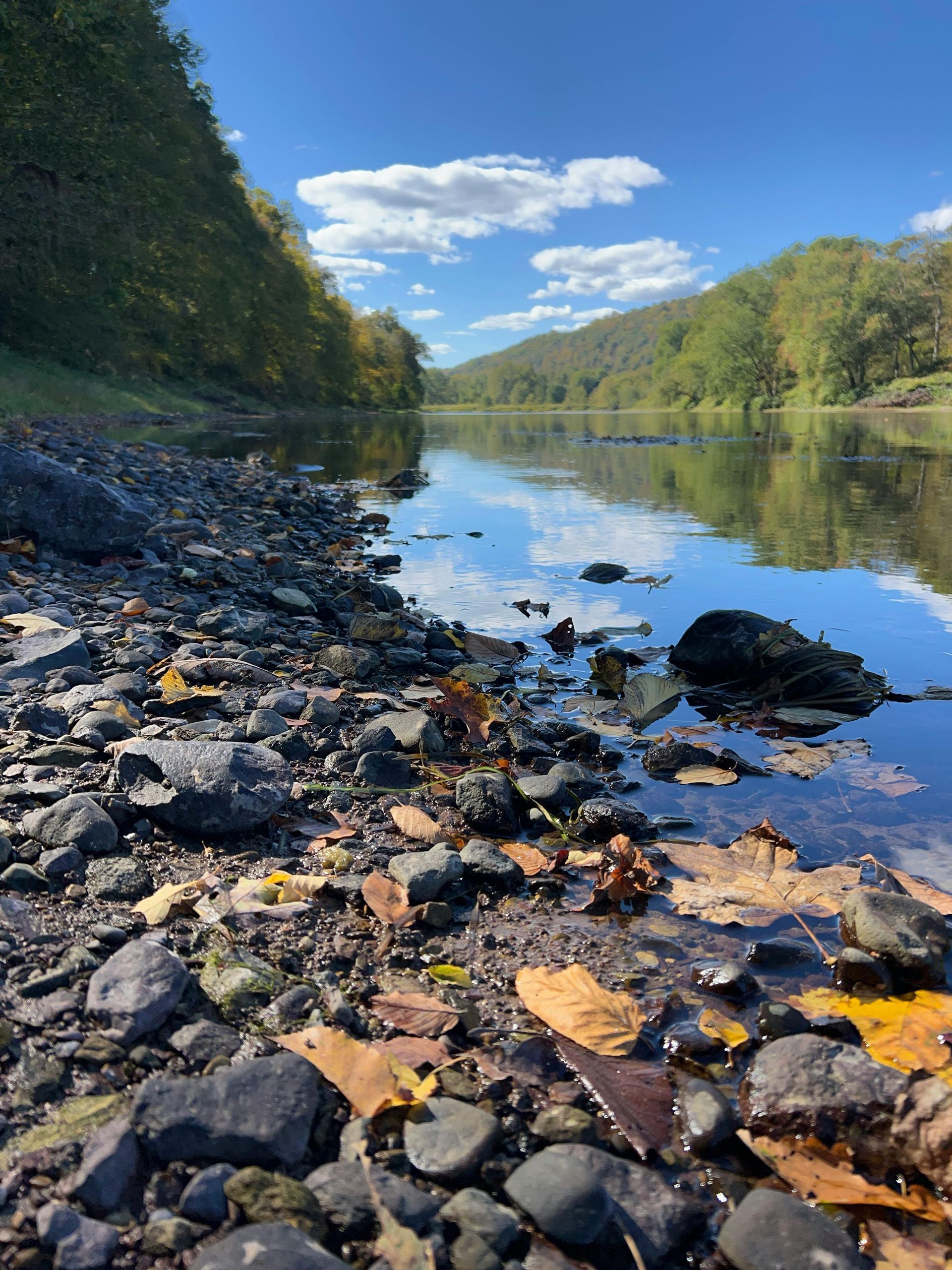 Luo Alt-tekstitunnisteet hakukoneoptimointia ja saavutettavuutta varten. 