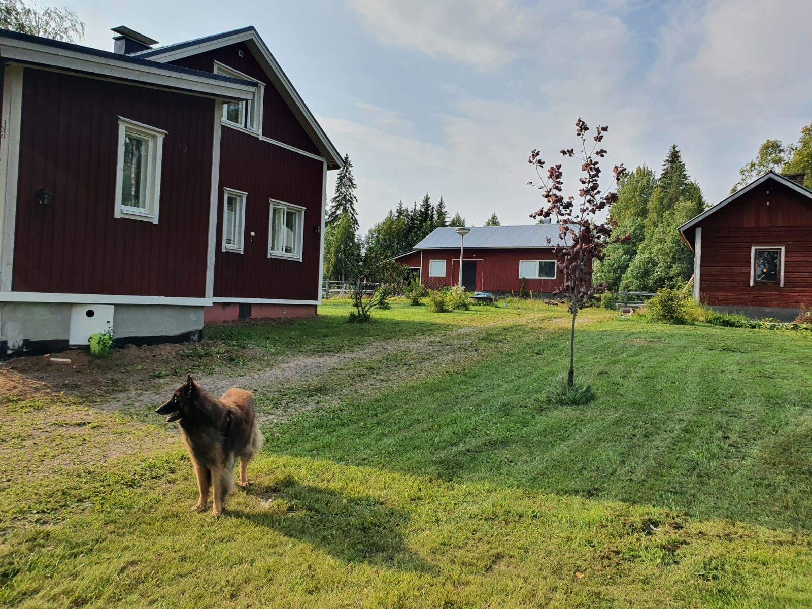 Rintamamiestallin laajennus ja täysremontti