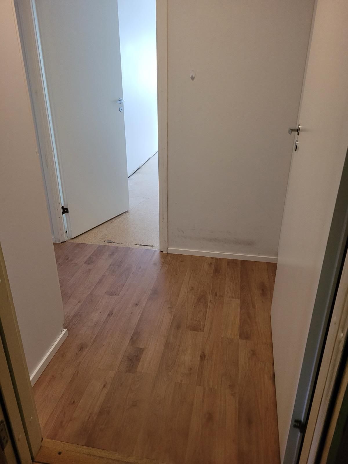 Käytävä, jossa on parkettilattiat ja valkoinen ovi.