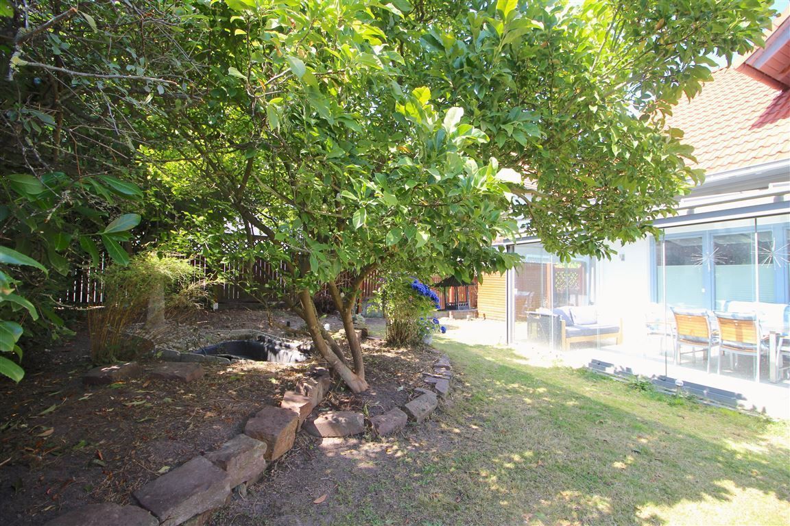 Garten mit Teich