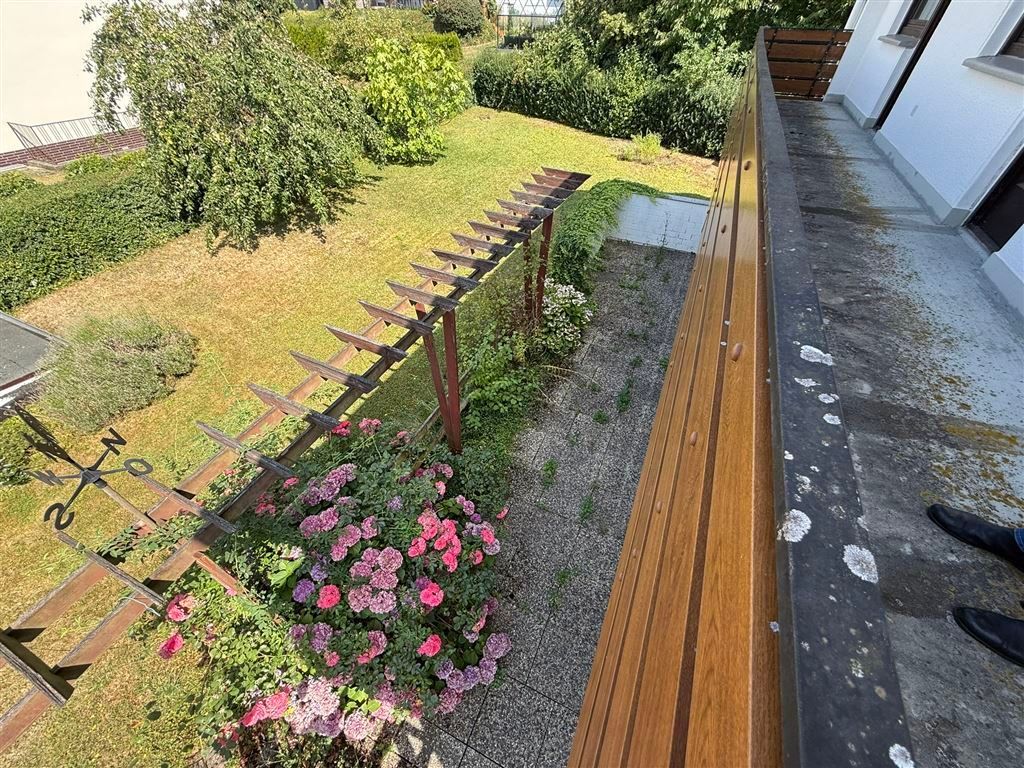 Blick in den Garten