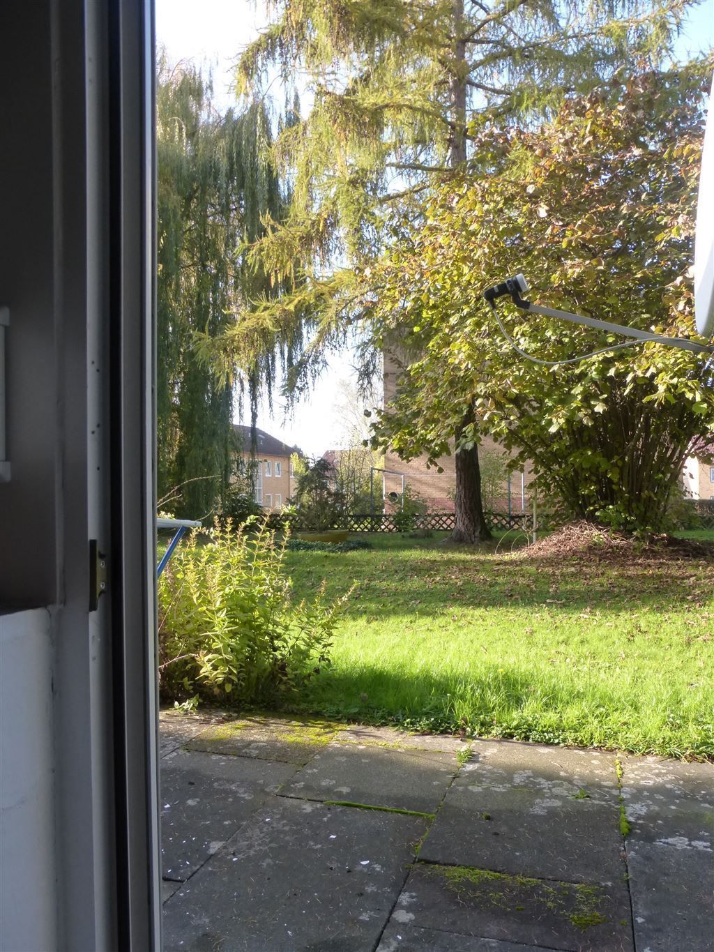 Blick in den Garten