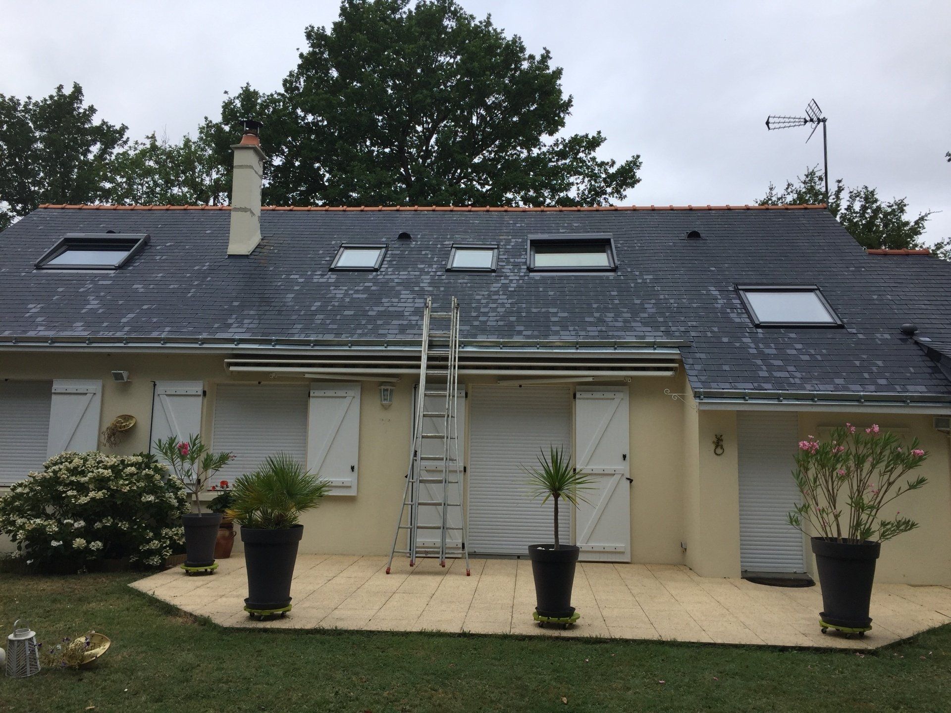 Avant nettoyage de toiture ardoise
