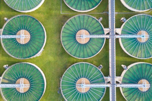 Vue aérienne de plusieurs bassins de traitement des eaux usées circulaires remplis d'un liquide vert.