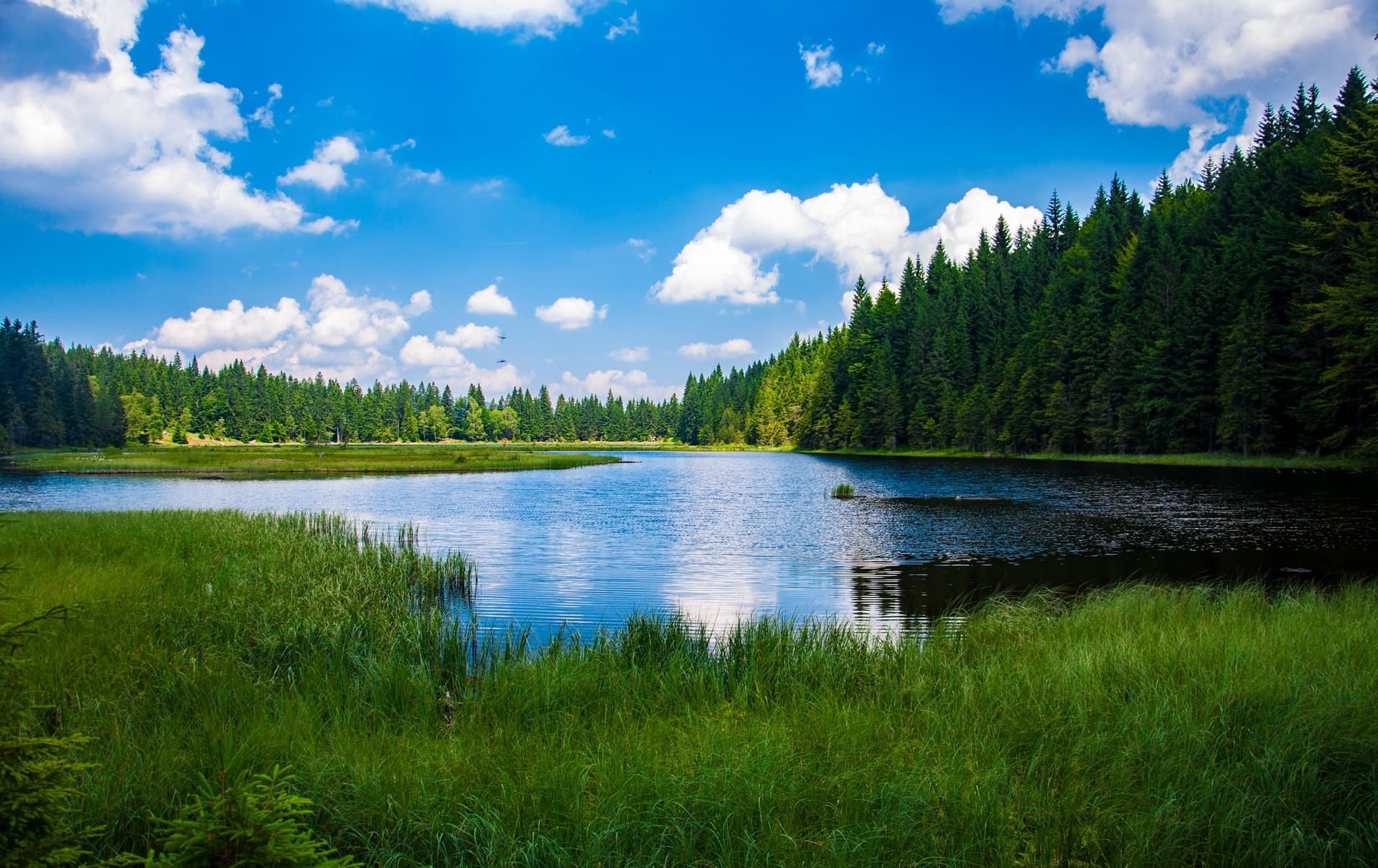Lac entouré d'herbe verte et de forêt sous un ciel bleu parsemé de nuages blancs et duveteux.