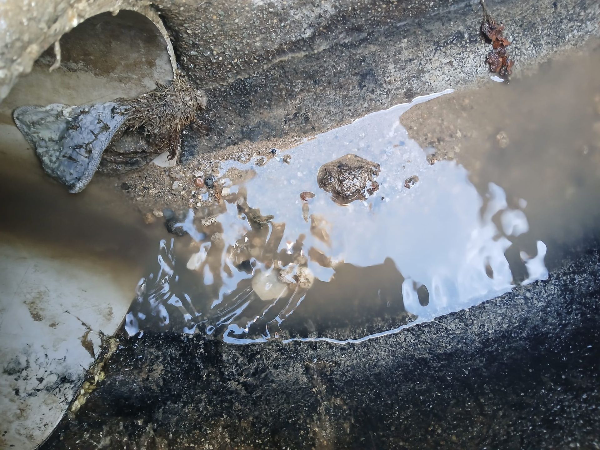 Gros plan sur un écoulement d'eau d'une sortie de canalisation.