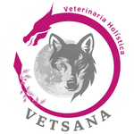 Vetsana