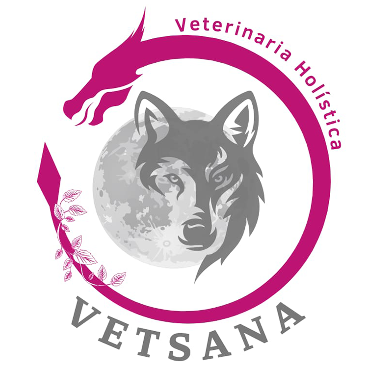 Vetsana