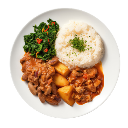 Une assiette avec du riz et de la viande.