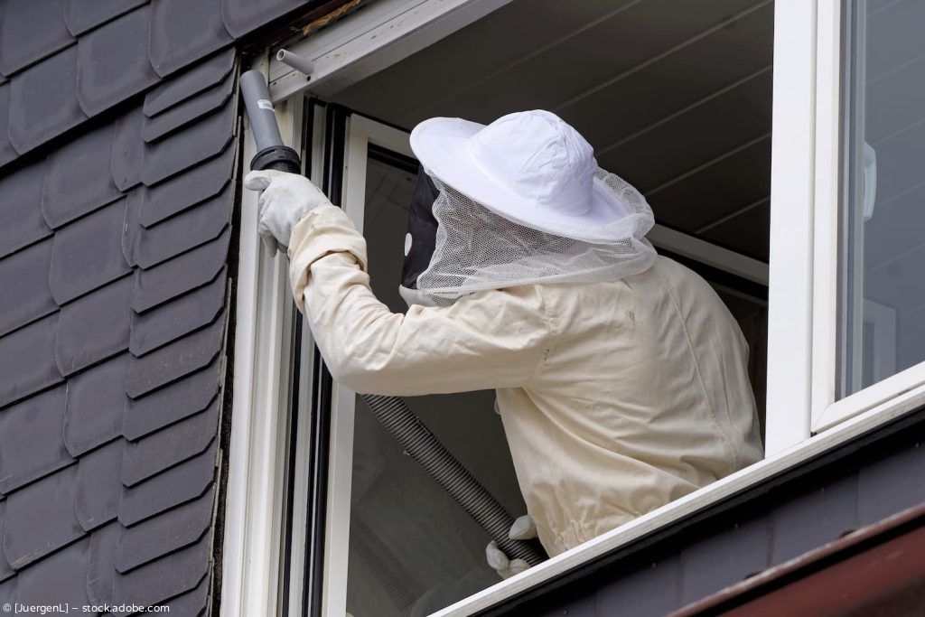 Ein Arbeiter in weißem Schutzanzug reinigt mit einer Bürste ein Fenster im Obergeschoss.