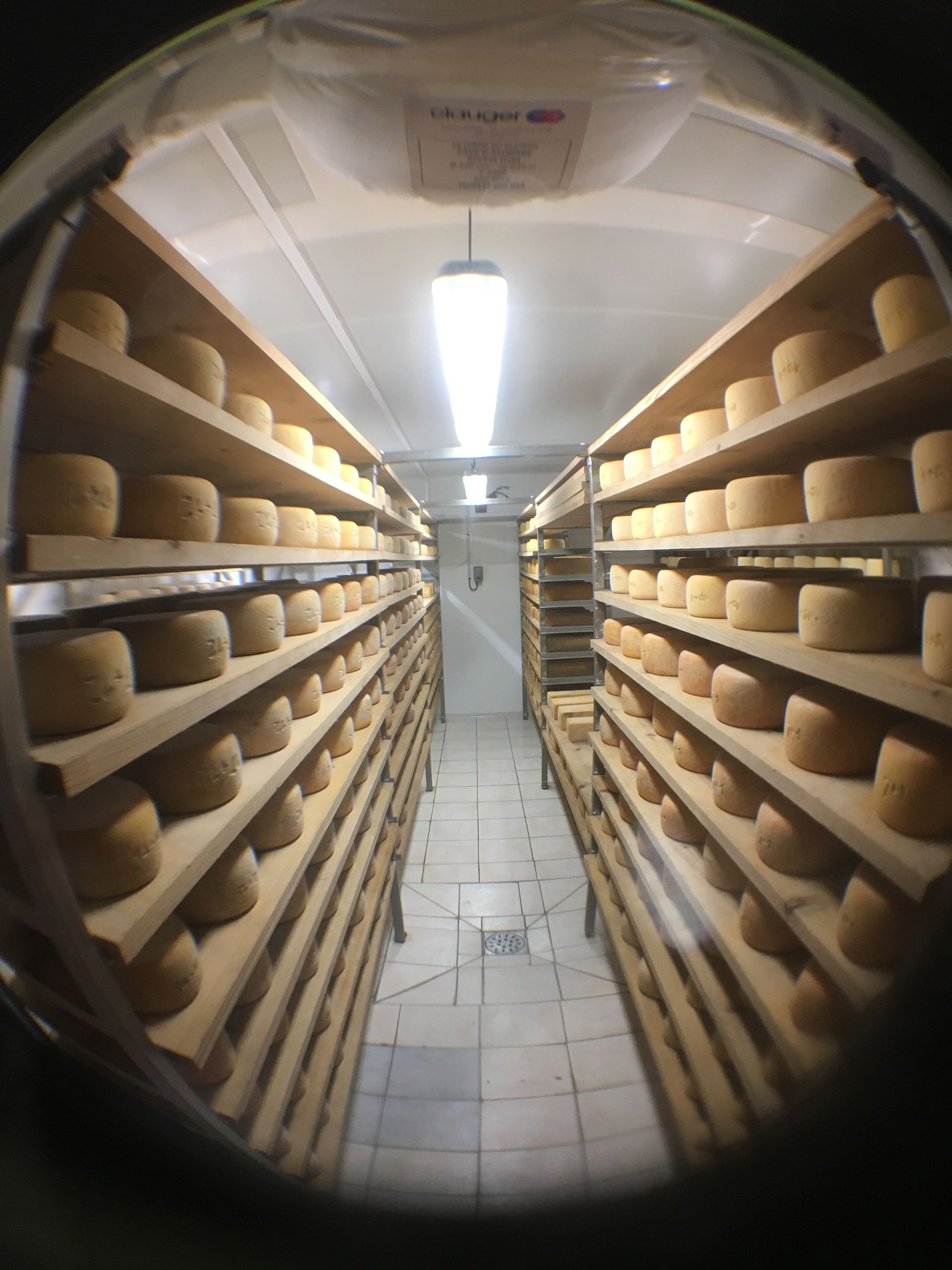 Du fromage sur une grille.