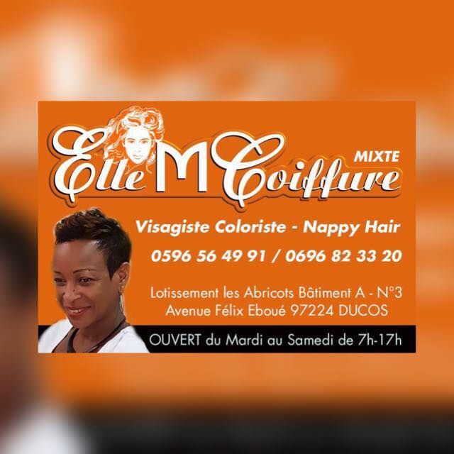 Logo Elle M Coiffure