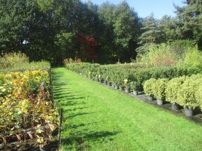 Découvrez la galerie photos Découvrez la galerie photos