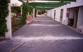 Una pasarela de ladrillos que conduce a un edificio con una pérgola verde.
