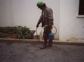Un hombre que lleva un casco verde está rociando algo en el suelo.