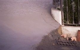 Un gato está sentado en la acera junto a una valla.