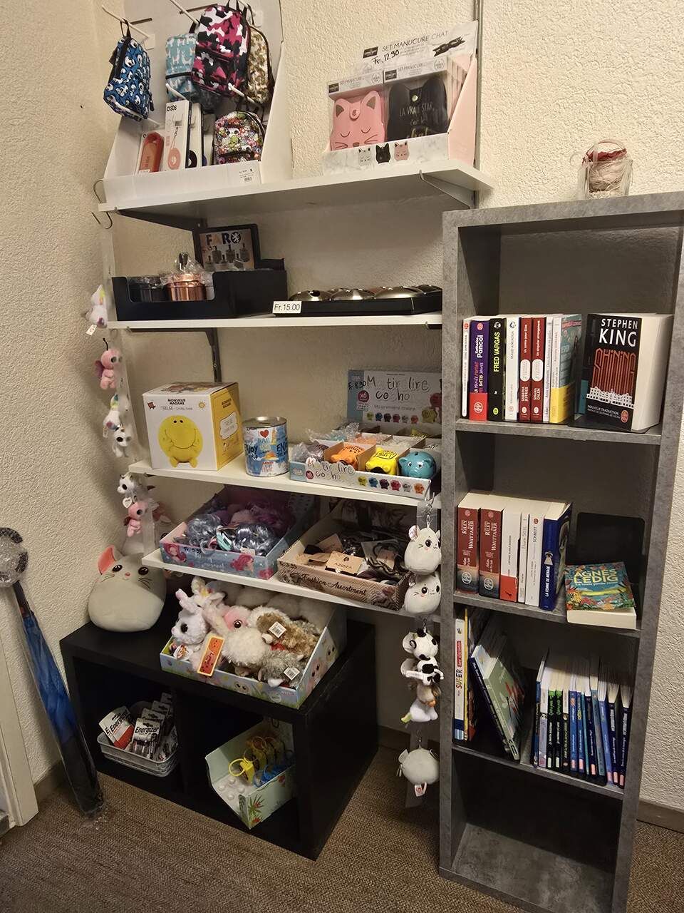 Une pièce avec des étagères remplies de livres et de jouets