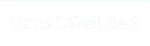 Logo Dans l'Oeil de S.