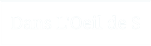 Logo Dans l'Oeil de S.