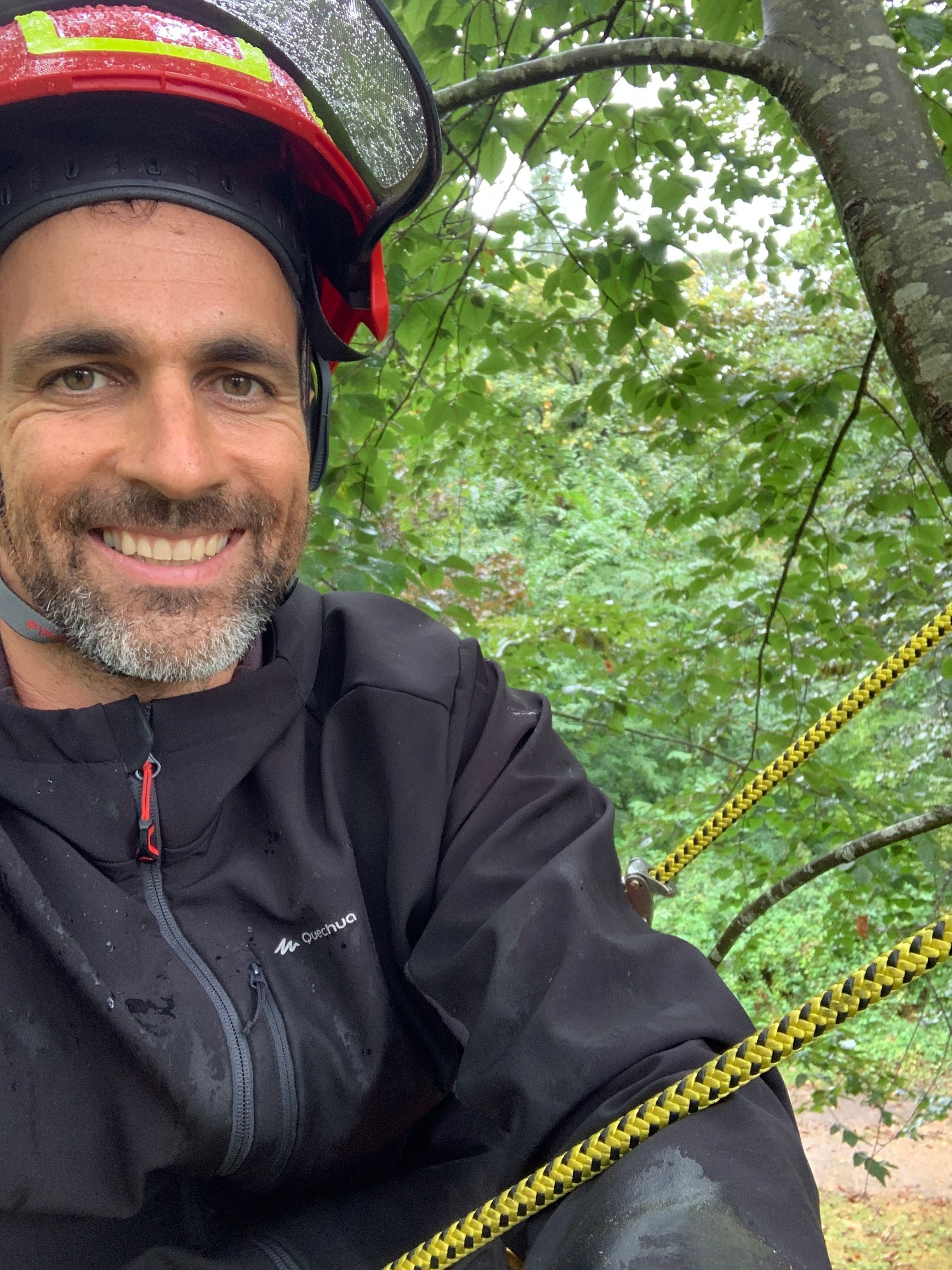 Robin Leman, arboriste-grimpeur en pleine action de découpe