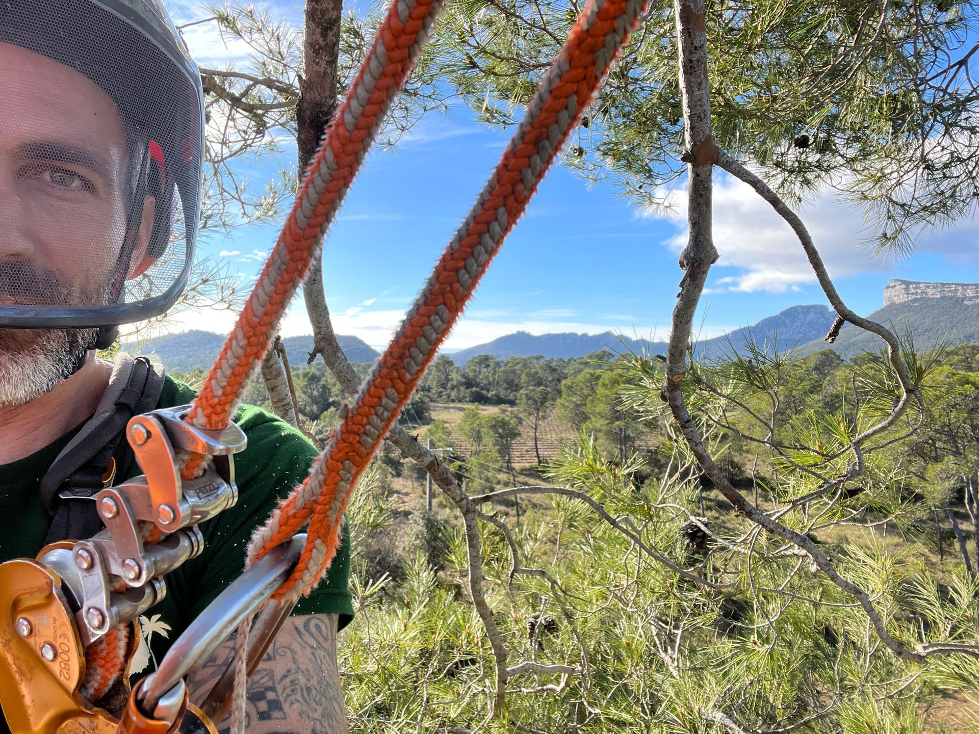 Élagage en hauteur avec équipement de sécurité