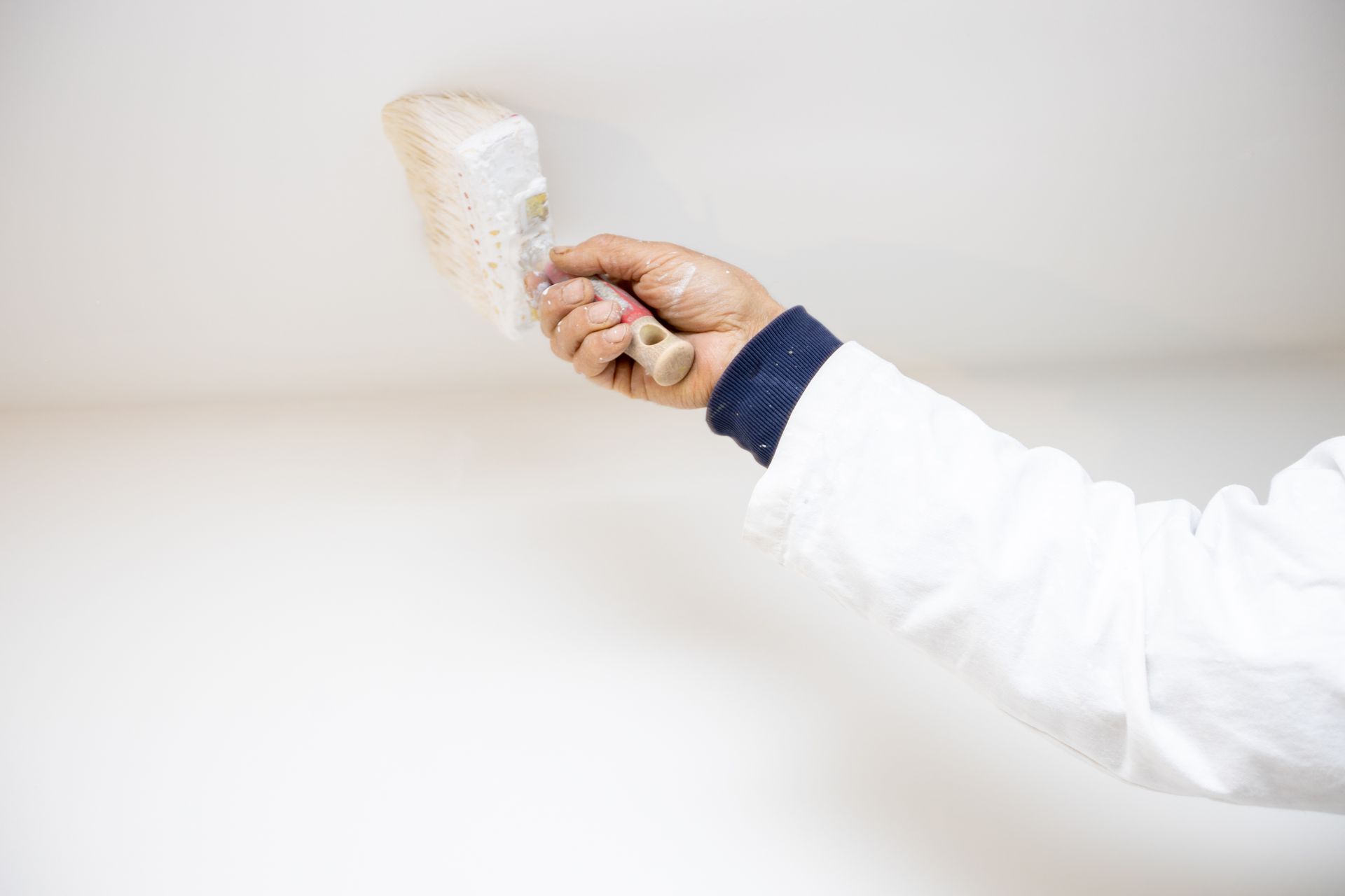 EdilBau Bauunternehmung