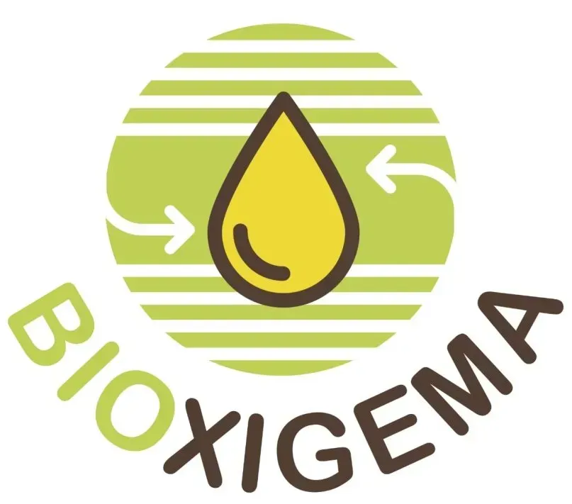 Logotipo Bioxigema